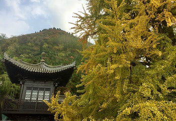 终南山观音禅寺第 19 张图片