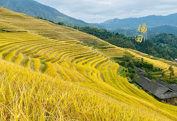 黄洛红瑶寨第 43 张图片