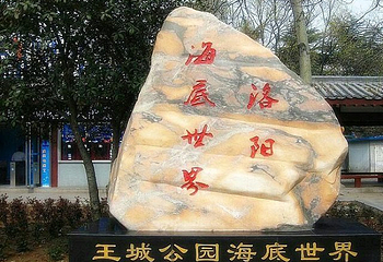 洛阳海底世界第 9 张图片