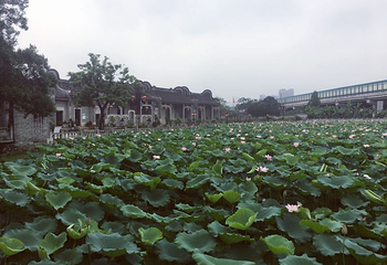 广州市花都区博物馆第 15 张图片