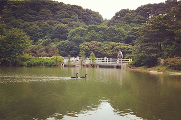 帽峰山景区第 29 张图片