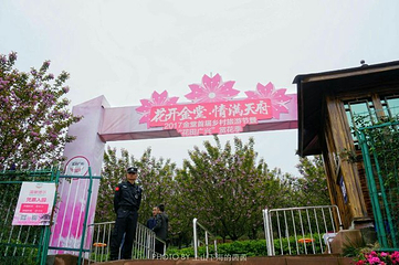 花田广兴宝塔浪漫樱花园第 13 张图片