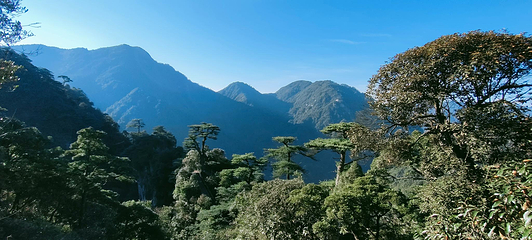 莽山五指峰景区第 14 张图片