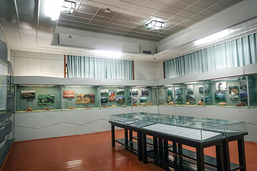 庐山风景名胜区-庐山博物馆第 8 张图片