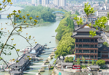 桐君山第 70 张图片