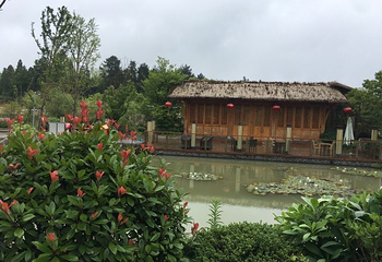 莲云谷温泉第 22 张图片