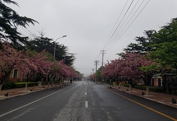 旅顺博物馆第 30 张图片