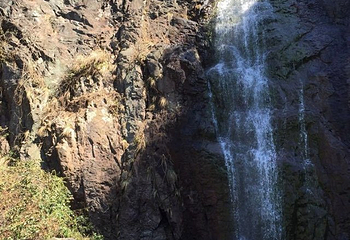 九峰山网岙景区第 22 张图片