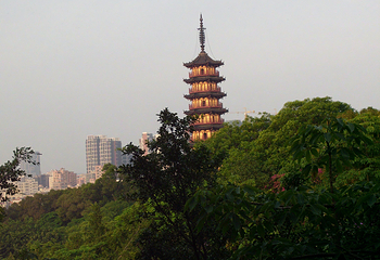 龙华公园第 3 张图片
