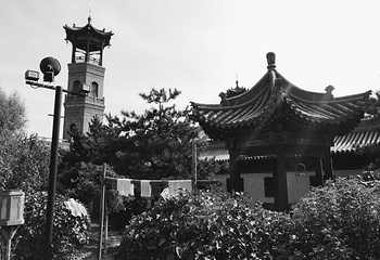 迪拜大清真寺第 15 张图片
