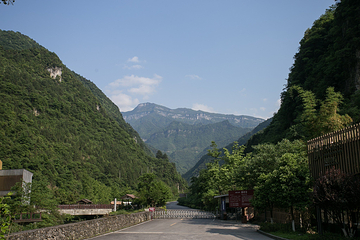 金佛山第 135 张图片
