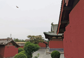 双林寺第 118 张图片