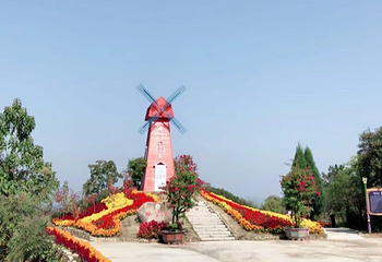 英山四季花海景区第 68 张图片