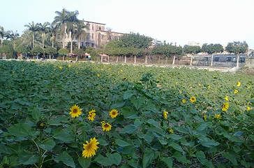 汕头农业科学园第 3 张图片
