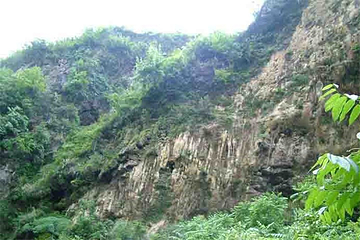 灵芝谷第 4 张图片