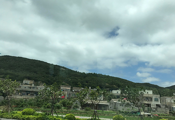 海岛国家森林公园第 17 张图片