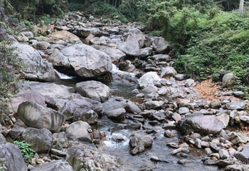 安吉天目山漂流第 30 张图片
