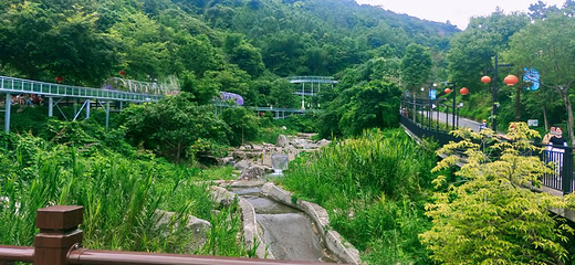 新兴天露山旅游度假区第 114 张图片