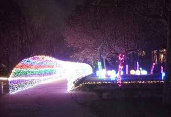 未央湖游乐园第 20 张图片