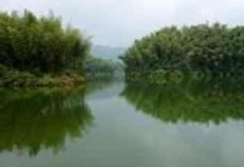 赤水竹海公园第 29 张图片