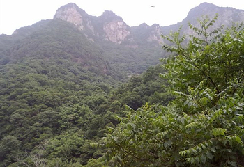 绛北大峡谷第 19 张图片