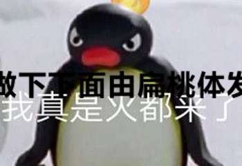 南阳五朵山第 21 张图片
