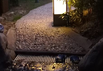 雁鸣湖恐龙谷凌云温泉第 18 张图片