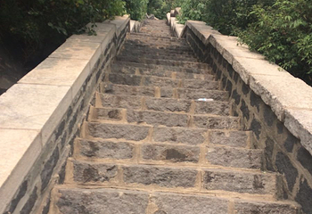 华山公园第 12 张图片