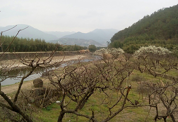 瞻山第 2 张图片