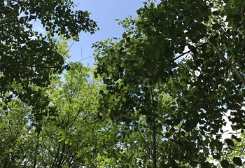 黑山头列夫湿地庄园景区第 48 张图片