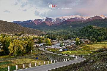 白哈巴景区第 43 张图片