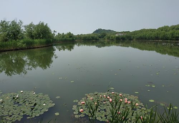 三山岛第 66 张图片