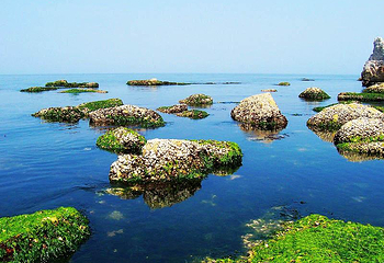 长岛南北长山旅游景区第 58 张图片