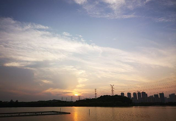 武汉后官湖国家湿地公园第 20 张图片