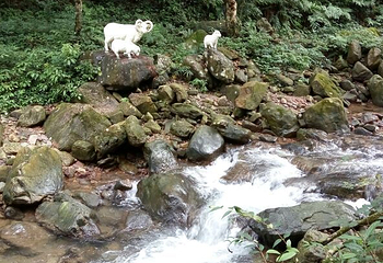 屏山旅游区第 28 张图片