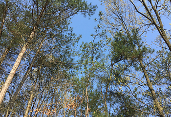 南湖风景区第 30 张图片