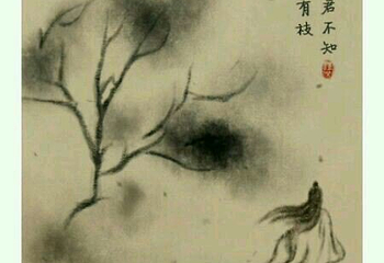 碑林公园第 21 张图片