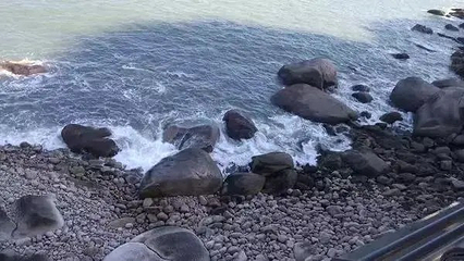 赶海园第 10 张图片