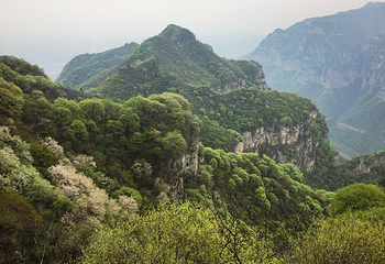 神农山风景区第 32 张图片