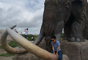 扎赉诺尔猛犸旅游区第 24 张图片
