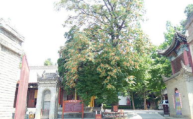 兴教寺第 14 张图片