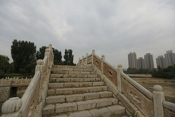 留仙湖公园第 10 张图片