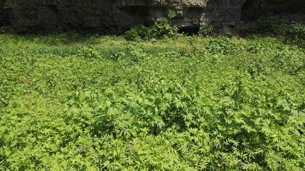 龙门涧风景区第 9 张图片