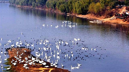 双龙湖湿地公园第 5 张图片