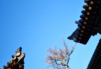 南山广化寺第 21 张图片
