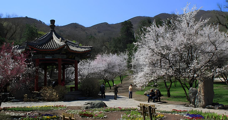 香山公园第 42 张图片