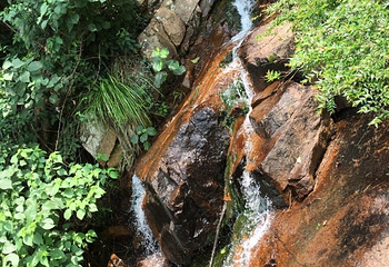 大龙山乌龙溪景区第 22 张图片