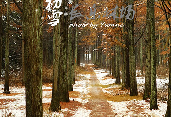 长乐林场第 21 张图片