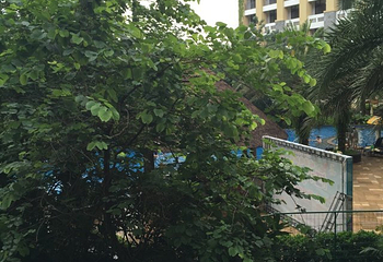 樟树湾大酒店温泉第 12 张图片