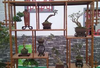第六届山东花博会第 4 张图片